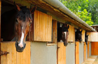 free Hainford stable construction quotes